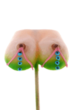 Lizak biust piersi cycuszki cycki sex osiemnastka