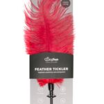 Pióro piórko do łaskotek podrażniacz gra wstępna