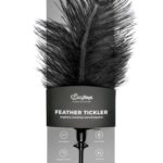 Pióro piórko do łaskotek podrażniacz gra wstępna