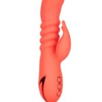 Wibrator-Orange County Cutie