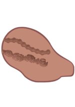 Big Ass Banger Vibr. - obrazek 7