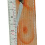 Folding Ruler "Girl" 2m