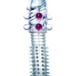 Stymulująca pobudzająca nakładka żelowa na penisa