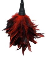 FFS Frisky Feather Duster - obrazek 5