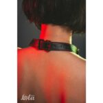 Knebel do ust kość drążek dominacja bdsm bondage - obrazek 5