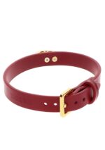 O-Ring Collar - obrazek 7