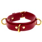 D-Ring Collar Deluxe