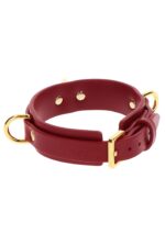 D-Ring Collar Deluxe - obrazek 5