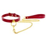 O-Ring Collar and Chain Leash