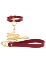 O-Ring Collar and Chain Leash - obrazek 6