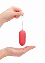 10 Speed Remote Vibrating Egg - Big - Pink - obrazek 10