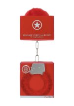 Beginner - obrazek 3