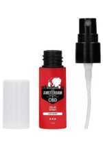 Original CBD from Amsterdam - Delay Spray - 15 ml - obrazek 3