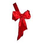 Red sexy costume bow Naughty Knot - obrazek 4