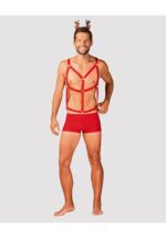 Bielizna-Mr Reindy S/M - obrazek 4