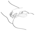 SANYA Intimate Massager Black - obrazek 5